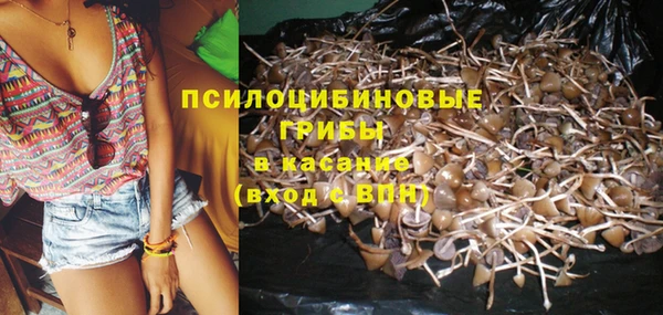 мяу мяу мука Ессентукская