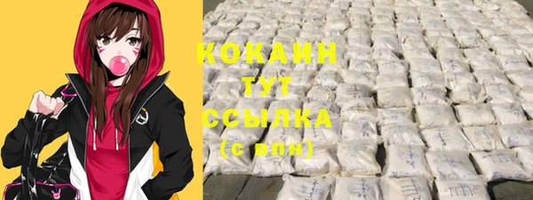 мяу мяу мука Ессентукская