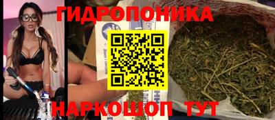 стаф Гусиноозёрск
