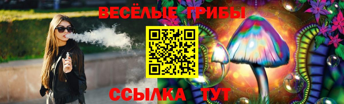 Галлюциногенные грибы Psilocybine cubensis Краснокаменск
